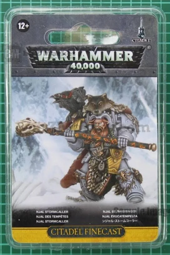 Njal Stormcaller in Terminator Armour