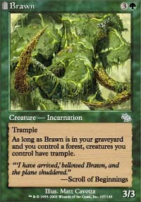Brawn [Judgment]