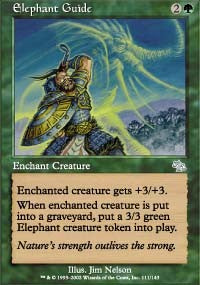 Elephant Guide [Judgment]