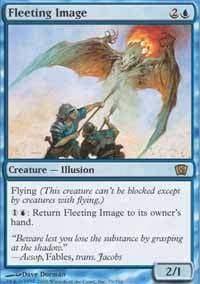 Fleeting Image [Eighth Edition]