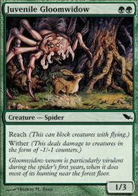 Juvenile Gloomwidow [Shadowmoor]
