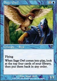 Sage Owl [Seventh Edition]