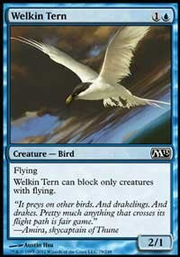 Welkin Tern [Magic 2013]