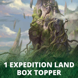 Magic The Gathering Zendikar Rising Draft Booster Box